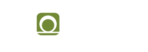 fionec GmbH. Fiber optic sensor technologies